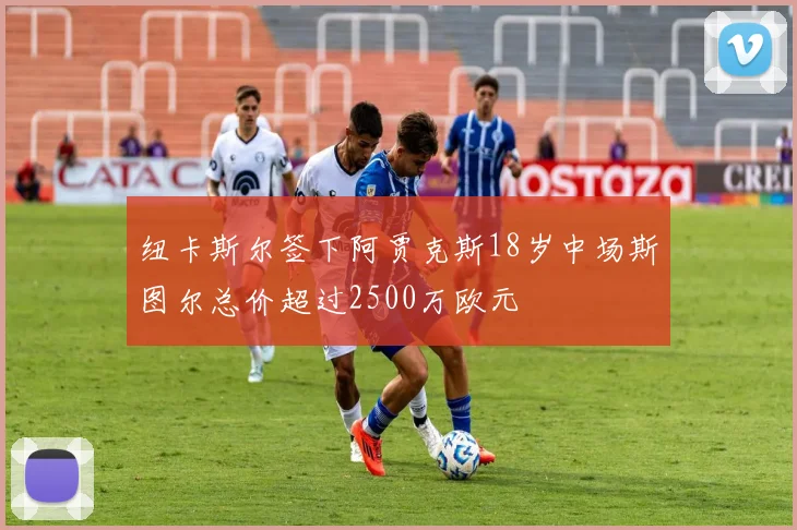 纽卡斯尔签下阿贾克斯18岁中场斯图尔总价超过2500万欧元